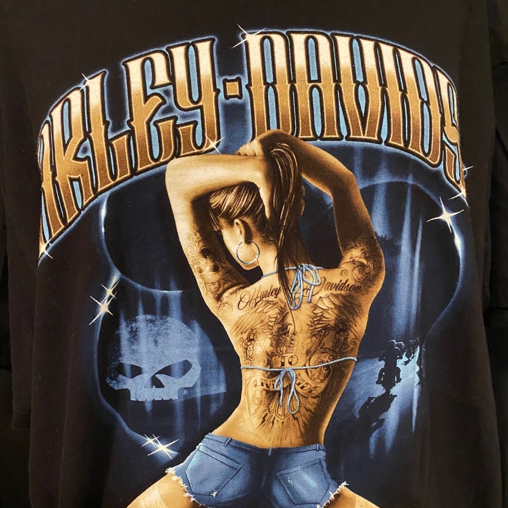Harley-Davidson T-shirt WI 2010 XL